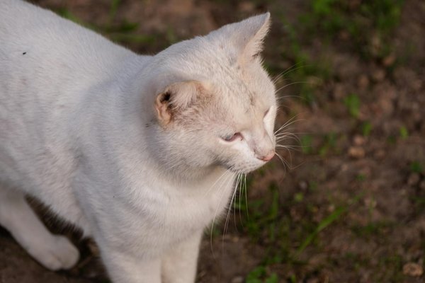 How Is Brexit Changing the Landscape for UK Entrepreneurs?